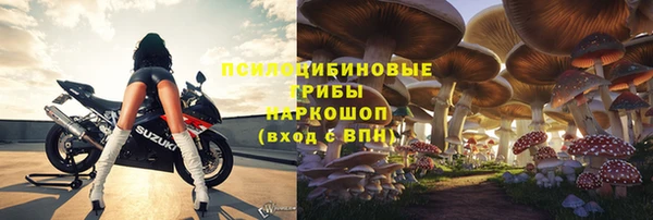 мяу мяу мука Армянск