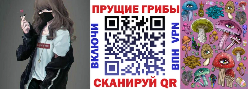 магазин Усолье-Сибирское Галлюциногенные грибы Psilocybine cubensis